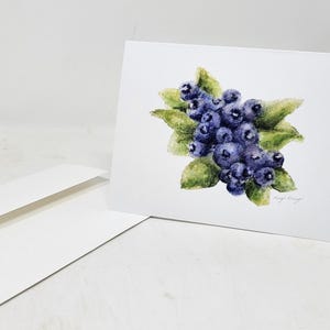 Blaubeeren Grußkarten, Grußkarten, leere Grußkarten, Grußkarten in Schachteln.