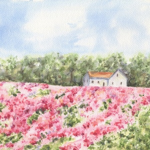 Französische Bauernhaus: Landschaft Aquarell, Fine Art Prints Oder Original Gemälde, Blumenlandschaft Malerei, Blumenlandschaft Muttertag Geschenk