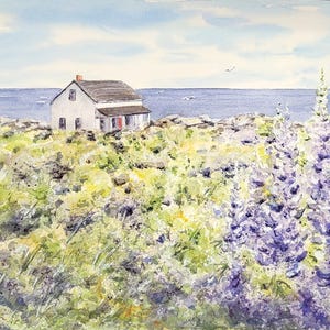 Seaside Lupine, Maine Coastal Watercolor Print or Original Maine Painting,  Maine Art Print, Maine Lupine Art, Maine Coast Art,