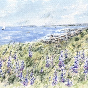 Coastal, Maine Watercolor Print or Original Maine Painting,  Maine Art Print, Maine Lupine Art, Maine Wall Art,