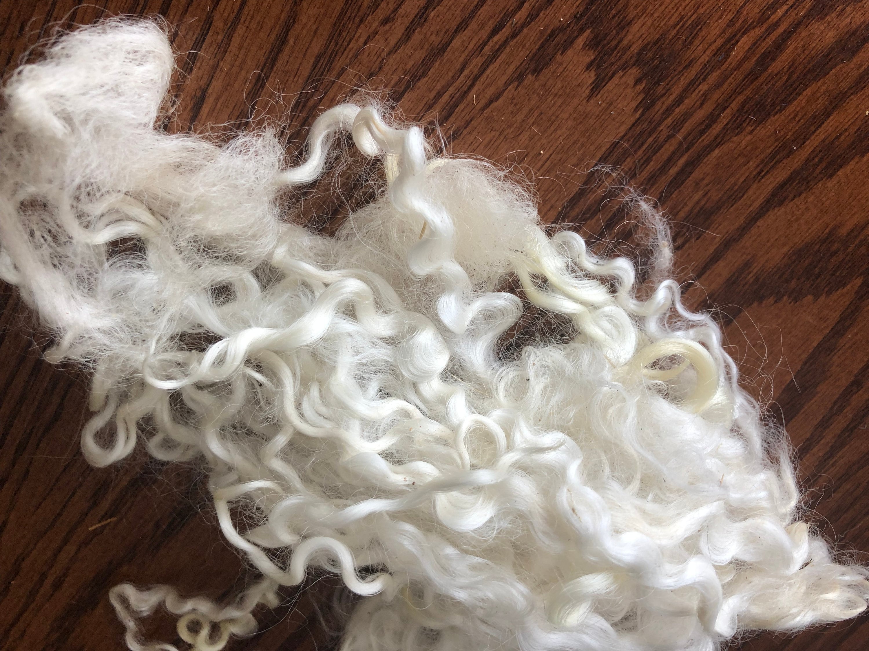 Curly Wool Roving White Cream Wool Wensleydale Wool for Etsy Canada