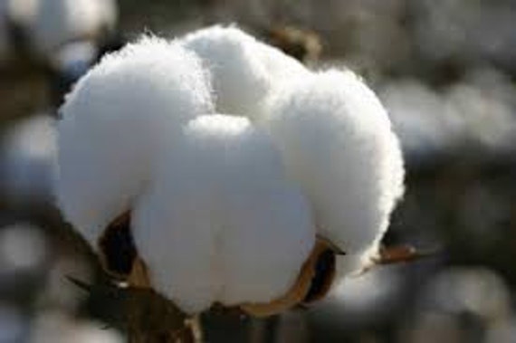 SALE: Cotton Stuffing for Dolls, Toys, Mobiles, Teddy Bear