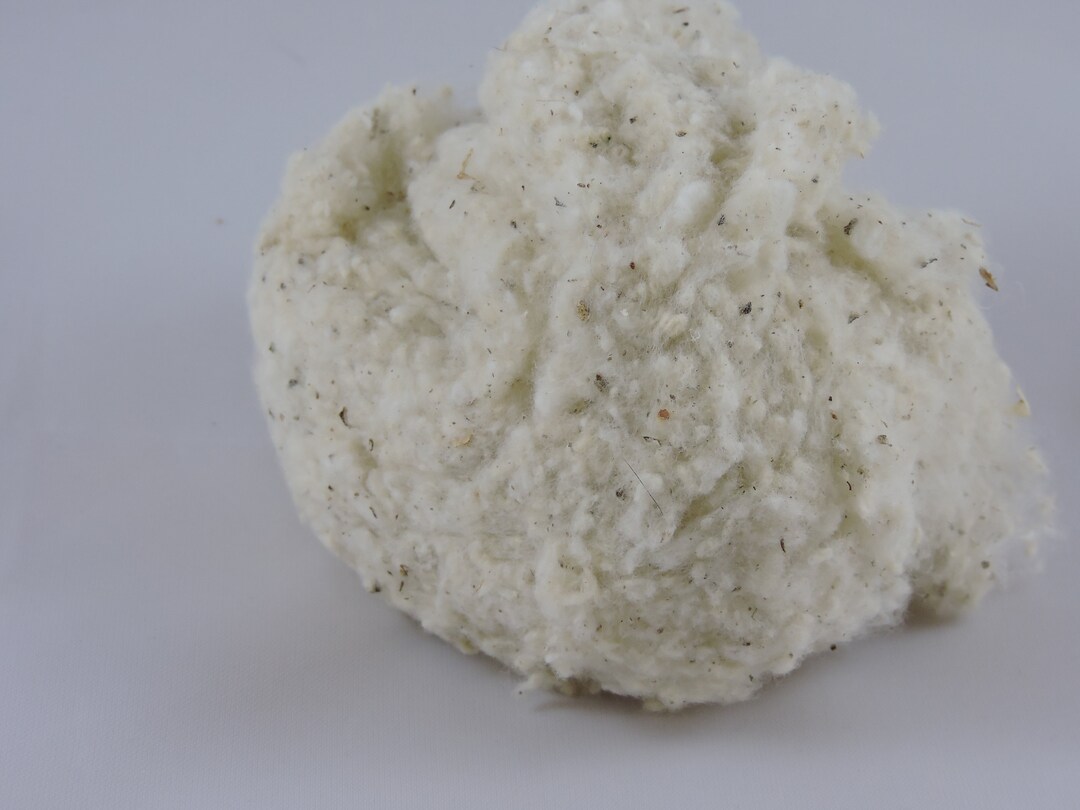 Organic Raw Cotton Batting Fiber Natural White for Stuffing (raw Cotton 1lb)