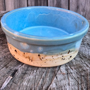 Hand Glazed Stoneware Pet Bowl: Gone to the Beach Design