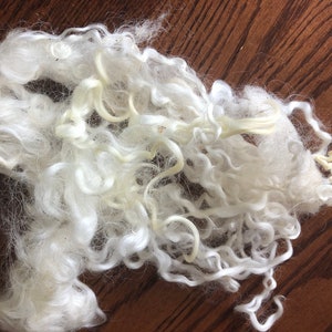 Curly Wool Locks,  White- Cream Wool - Wensleydale Wool, For Embellishing your Felting Project, 8-10 gram packages, From Canadian Sheep