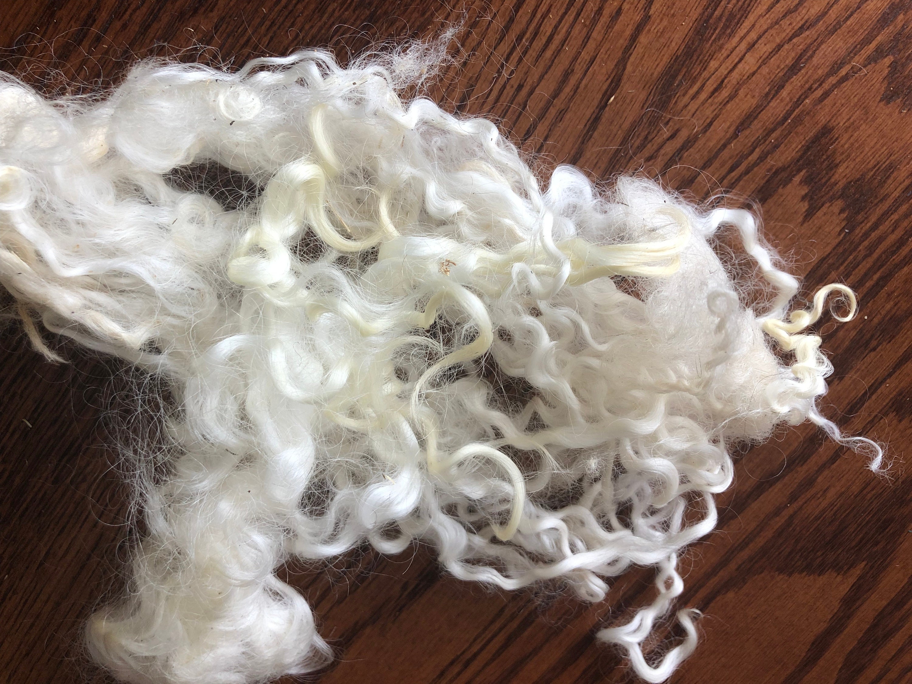 CX-2 BRIGHT White Felting Wool: WINTER WHITE