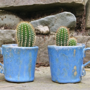 Op de afbeelding: Twee blauwe keramische mokken met een gekrakelde glazuur, elk met een kleine cactusplant.