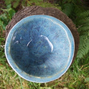 Ceramic bowl with plant motif, ceramic dish, home decor, handmade bowl, floral motif bowl, wild rose bowl, housewarming gift, blue bowl image 6