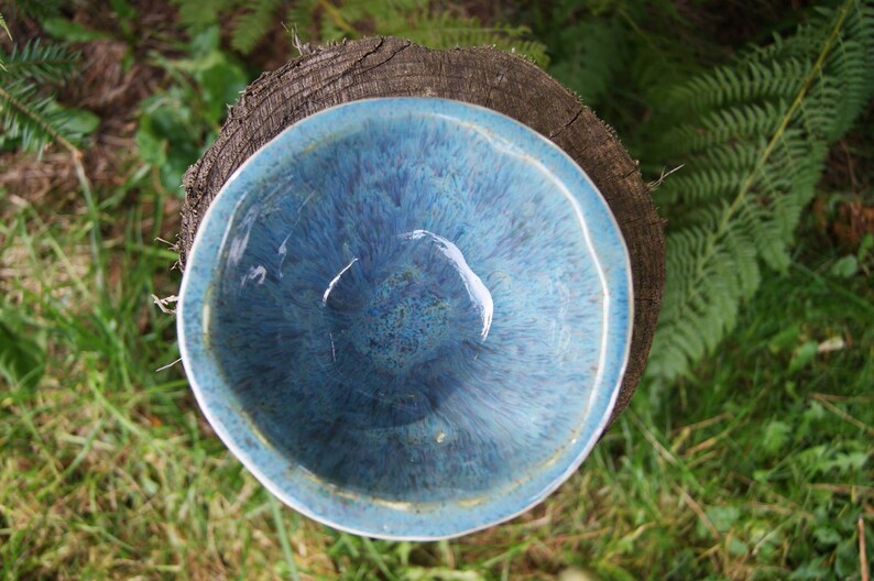 Ceramic bowl with plant motif, ceramic dish, home decor, handmade bowl, floral motif bowl, wild rose bowl, housewarming gift, blue bowl image 6