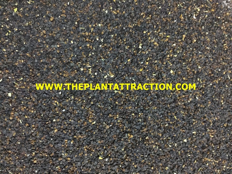 May include: Close-up of a pile of small, black seeds. The seeds are irregularly shaped and have a slightly rough texture. The seeds are a mix of dark brown and black.