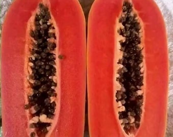 May include: Two halves of a papaya fruit, cut lengthwise, revealing the vibrant red flesh and a central cavity filled with black seeds. The outer skin is a mix of yellow and green.