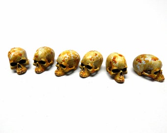 May include: Six small, detailed, white and orange skull figurines. The skulls are arranged in a row, facing the viewer.