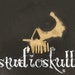 Studio Skull