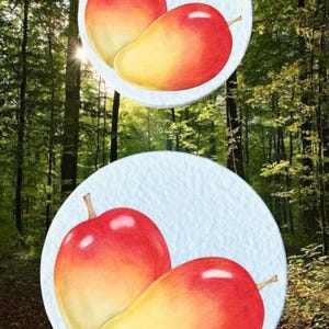 May include: Two illustrations of red and yellow fruit, possibly apples or mangoes, are set against a forest backdrop. Each fruit has a gradient of colours, transitioning from red to yellow. The illustrations are in white circles.