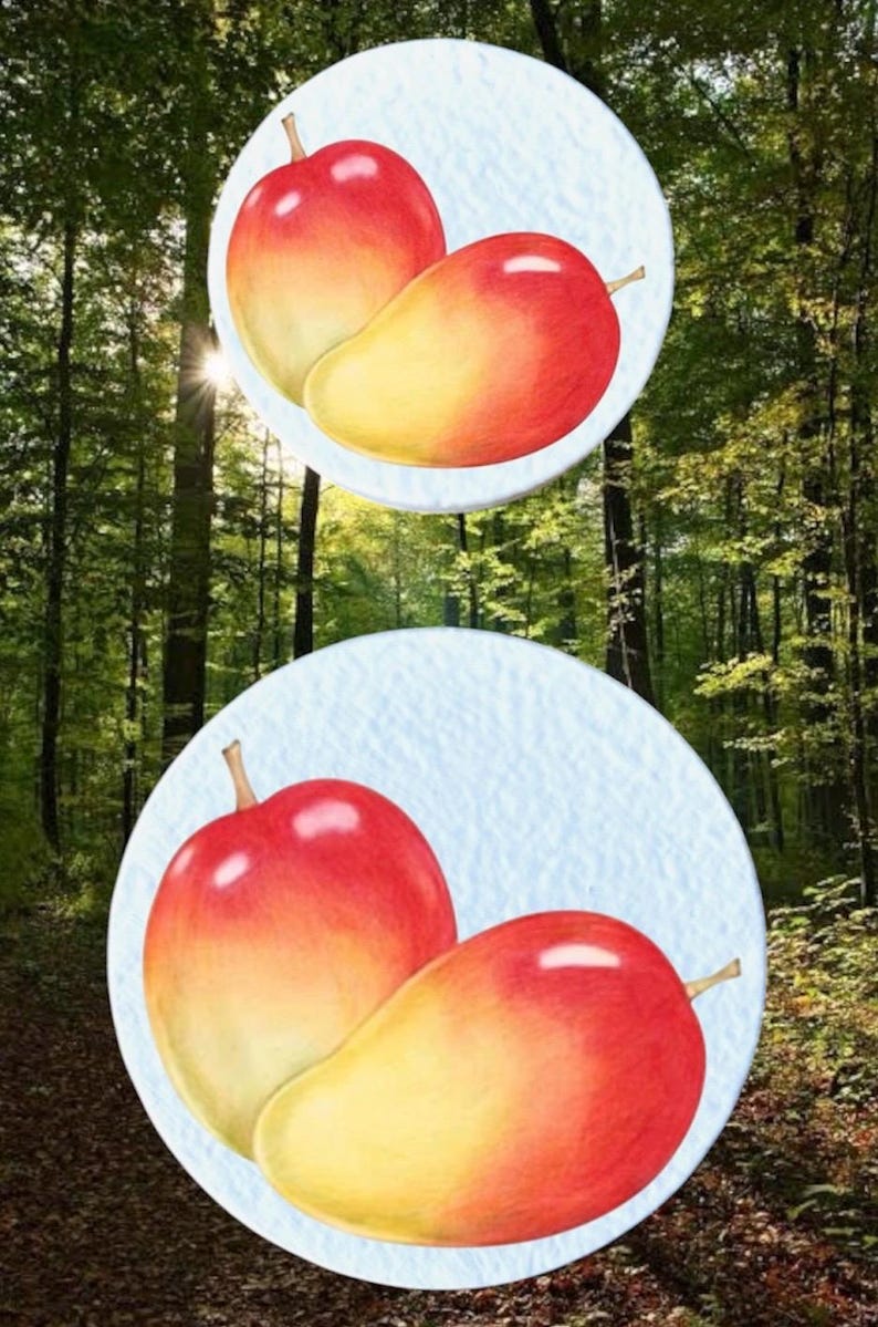 May include: Two illustrations of red and yellow fruit, possibly apples or mangoes, are set against a forest backdrop. Each fruit has a gradient of colours, transitioning from red to yellow. The illustrations are in white circles.