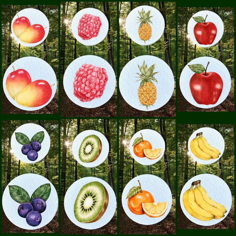 May include: A collection of watercolour fruit illustrations, including apples, raspberries, pineapples, blueberries, kiwi, oranges, and bananas, each on a white circle. The background is a blurred forest scene.
