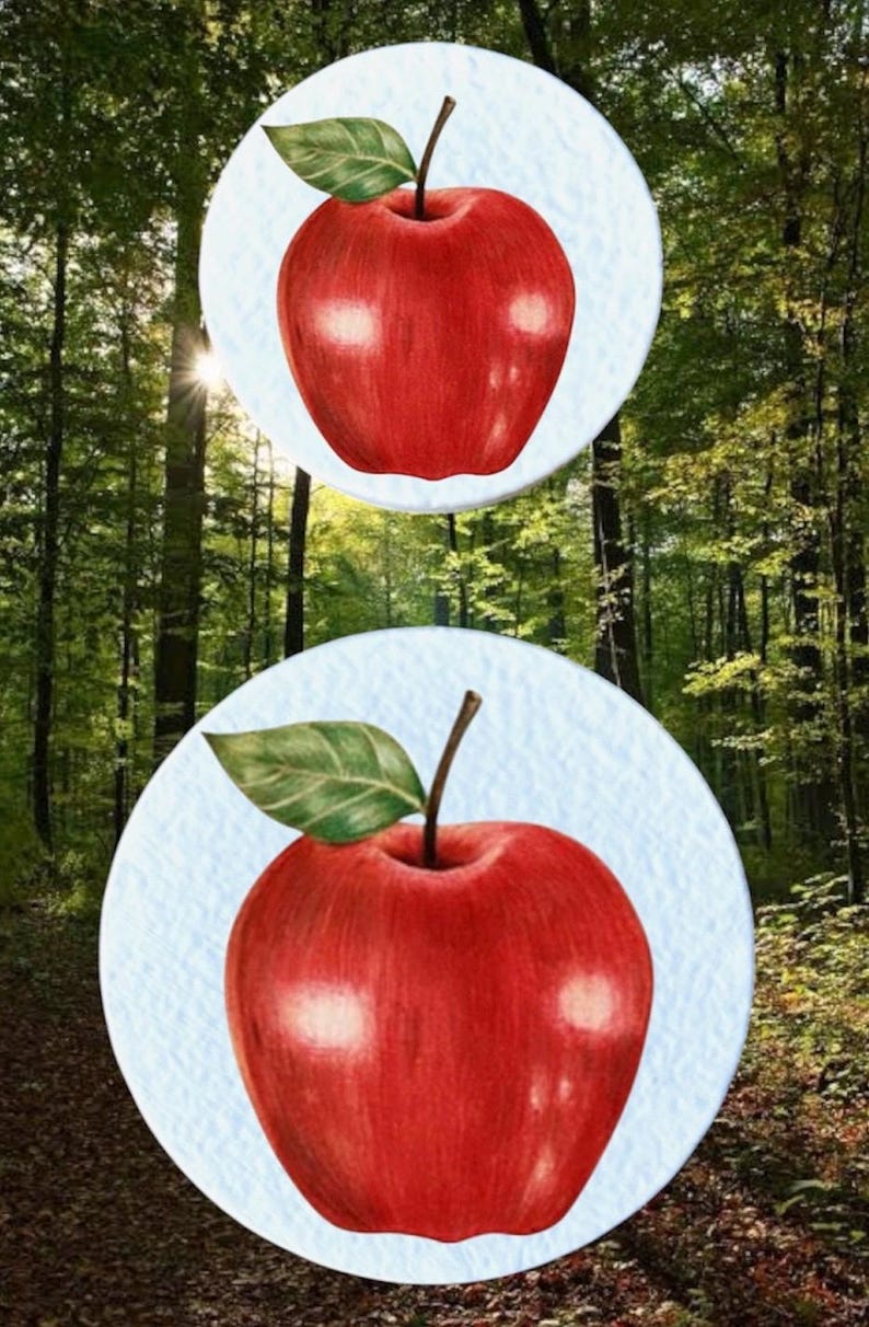 May include: Two watercolour illustrations of red apples with green leaves and brown stems, set against a light blue background. The background is a blurred image of a forest with sunlight.