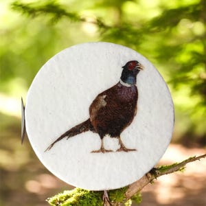 Könnte beinhalten: Ein runder, weißer Untersetzer mit einer detaillierten Illustration eines Fasanen. Der Vogel hat braunes, schwarzes und rotes Gefieder und einen langen Schwanz. Der Untersetzer befindet sich vor einem verschwommenen grünen Hintergrund.