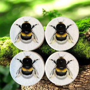 Könnte beinhalten: Vier runde Untersetzer mit einer detaillierten Illustration einer Hummel. Die Biene ist schwarz, gelb und weiß, vor einem weißen Hintergrund. Die Untersetzer sind auf einer strukturierten, natürlichen Oberfläche mit einem verschwommenen grünen Hintergrund angeordnet.