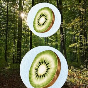 May include: Two watercolour illustrations of kiwi fruit slices on a light blue background, set against a backdrop of a lush green forest. The kiwi slices are green with a brown rind.