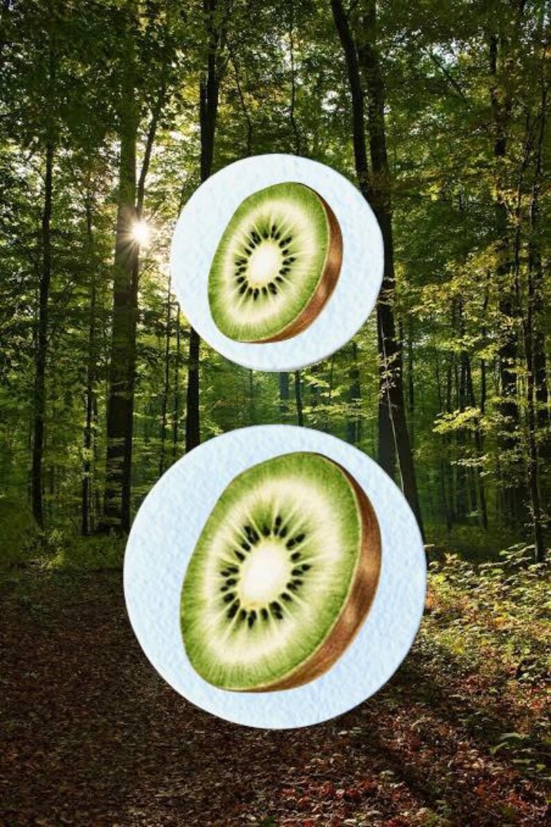 May include: Two watercolour illustrations of kiwi fruit slices on a light blue background, set against a backdrop of a lush green forest. The kiwi slices are green with a brown rind.