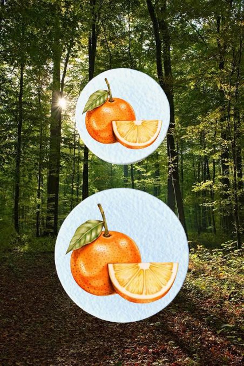 May include: Two illustrations of oranges with green leaves and a slice on a light blue background. The background is a forest scene with sunlight filtering through the trees. The oranges are orange.
