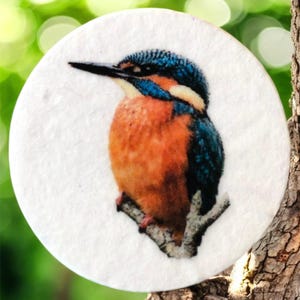 Può includere: Un sottobicchiere rotondo e bianco con un'illustrazione dettagliata di un martin pescatore. L'uccello ha un piumaggio blu, arancione e nero, appollaiato su un ramo. Il sottobicchiere è posto su uno sfondo verde sfocato.