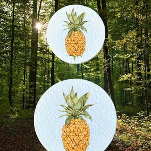 May include: Two round, light blue backgrounds with a watercolour pineapple illustration. The pineapples are yellow with green leafy tops. The background is a forest with tall trees and sunlight.
