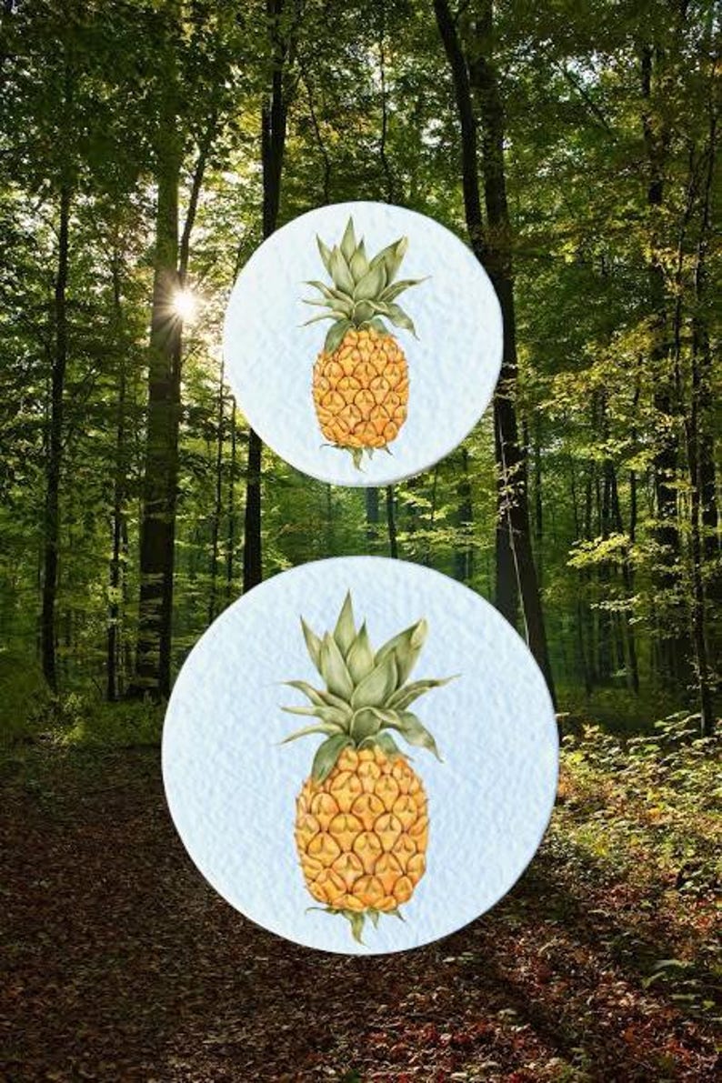 May include: Two round, light blue backgrounds with a watercolour pineapple illustration. The pineapples are yellow with green leafy tops. The background is a forest with tall trees and sunlight.