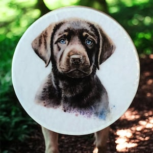 Könnte beinhalten: Ein rundes, weißes Dekorationsobjekt mit einer Aquarellmalerei eines Schokoladen-Labrador-Welpen mit auffallend blauen Augen. Das Fell des Welpen ist braun, der Hintergrund ist verschwommenes grünes Laub.