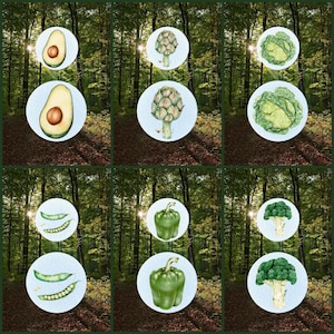 Könnte beinhalten: Aquarellillustrationen verschiedener Gemüsesorten, darunter Avocados, Artischocken, Kohl, grüne Bohnen, Paprika und Brokkoli, werden auf weißen Kreisen dargestellt. Der Hintergrund ist eine verschwommene Waldszene mit Sonnenlicht, das durch die Bäume scheint.