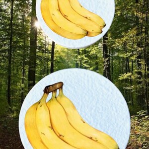 May include: Two watercolour illustrations of bananas on a light blue background, set against a backdrop of a forest with sunlight filtering through the trees. The bananas are yellow with brown stems.
