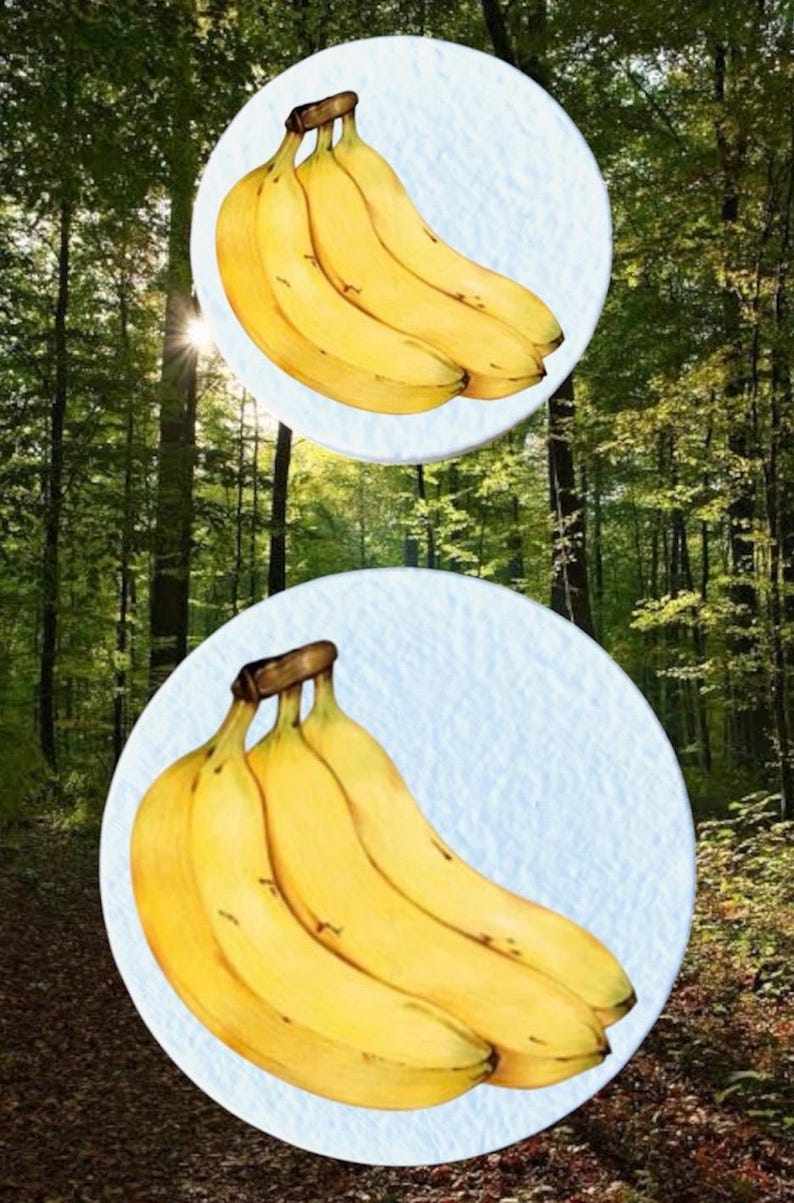 May include: Two watercolour illustrations of bananas on a light blue background, set against a backdrop of a forest with sunlight filtering through the trees. The bananas are yellow with brown stems.