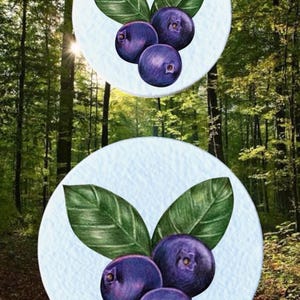 May include: Illustration of blueberries with green leaves on a light blue background. The blueberries are a deep purple colour. The background is a forest scene with sunlight shining through the trees. The image is a digital illustration.