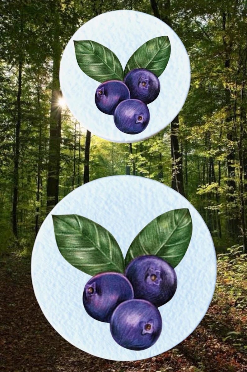 May include: Illustration of blueberries with green leaves on a light blue background. The blueberries are a deep purple colour. The background is a forest scene with sunlight shining through the trees. The image is a digital illustration.