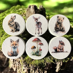 May include: Six round coasters with watercolor illustrations of woodland creatures and mushrooms. The set includes a rabbit, deer, bear cub, fox, mushrooms, and a squirrel. Each coaster is white with a detailed animal or plant design.