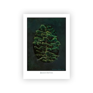 Grand Fir Depths Card | Archival Quality Print of Original Oil Painting on 7"x5" Blank Art Card with Artist Write-up on Back | with Envelope