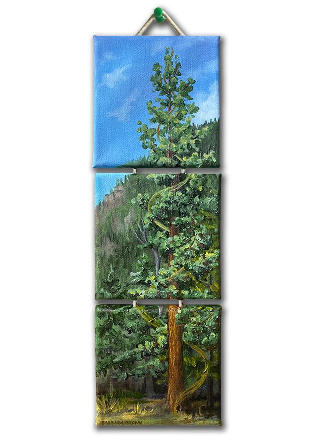 Ponderosa Pine Triptych | Miniature Original Oil Painting Threesome | 5 ...