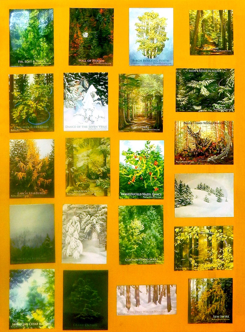 Tree Art 3 x 4 Fridge Magnet Birch Tree Magnet Tree Painting Print Magnet British Columbia Art Woodland Wonder Canadian Artist