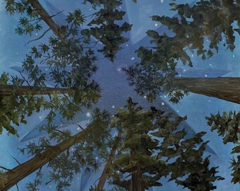 May include: A view from below of tall trees reaching up to a dark blue sky with a starburst pattern of light. The trees are silhouetted against the sky, and the light creates a sense of depth and mystery.