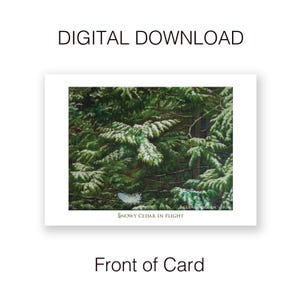 Cartão de arte "Snowy Cedar In Flight" para impressão, download digital instantâneo, 5 x 7" / em branco por dentro / arte original em óleo sobre tela, cena de floresta