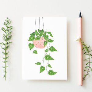 Set of 2 postcards plant and wildflowers, illustrated flowers card, hanging plant card, floral illustration, plant lady card, summer cards image 3