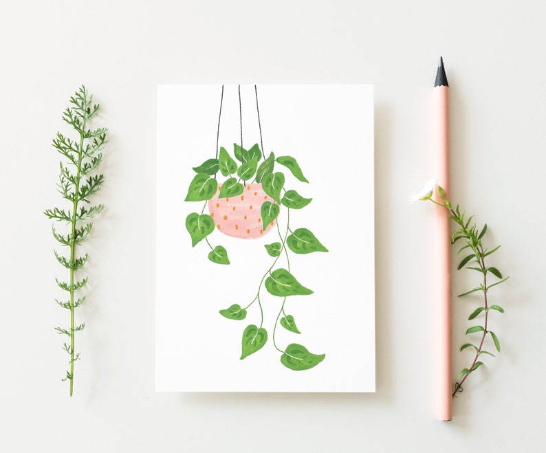 Set of 2 postcards plant and wildflowers, illustrated flowers card, hanging plant card, floral illustration, plant lady card, summer cards image 3