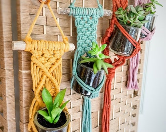 Driftwood Plant Holder - Macrame Plant Holder - Macrame Airplant Holder - Airplant Hanger - Small Plant Hanger - Macrame Succulent Hanger