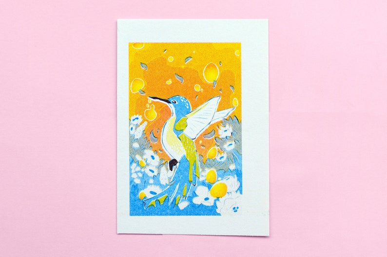 Humming Bird Honey Risoprint A6 200GSM riciclato 'Natural White' cartuccia Art Print Set di 8 Wildflower