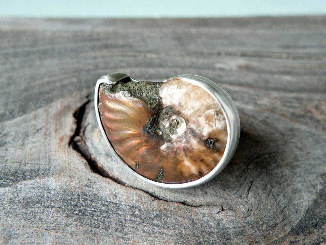 Ammonite Fossil Silver Statement Ring Handmade Size 8.5