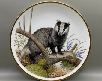 Wedgwood Wildlife of Britain Dachs Platte, Wildlife of Britain Platte, Dachs Platte, Sammler Dachs Platte, Wedgwood Bone China,