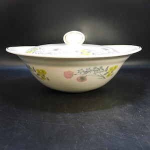 Tureen Portland Pottery cobridge england