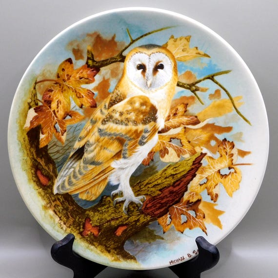 Barn Owl, Coalport Bone China Collectors Plates, From the Wise Owl