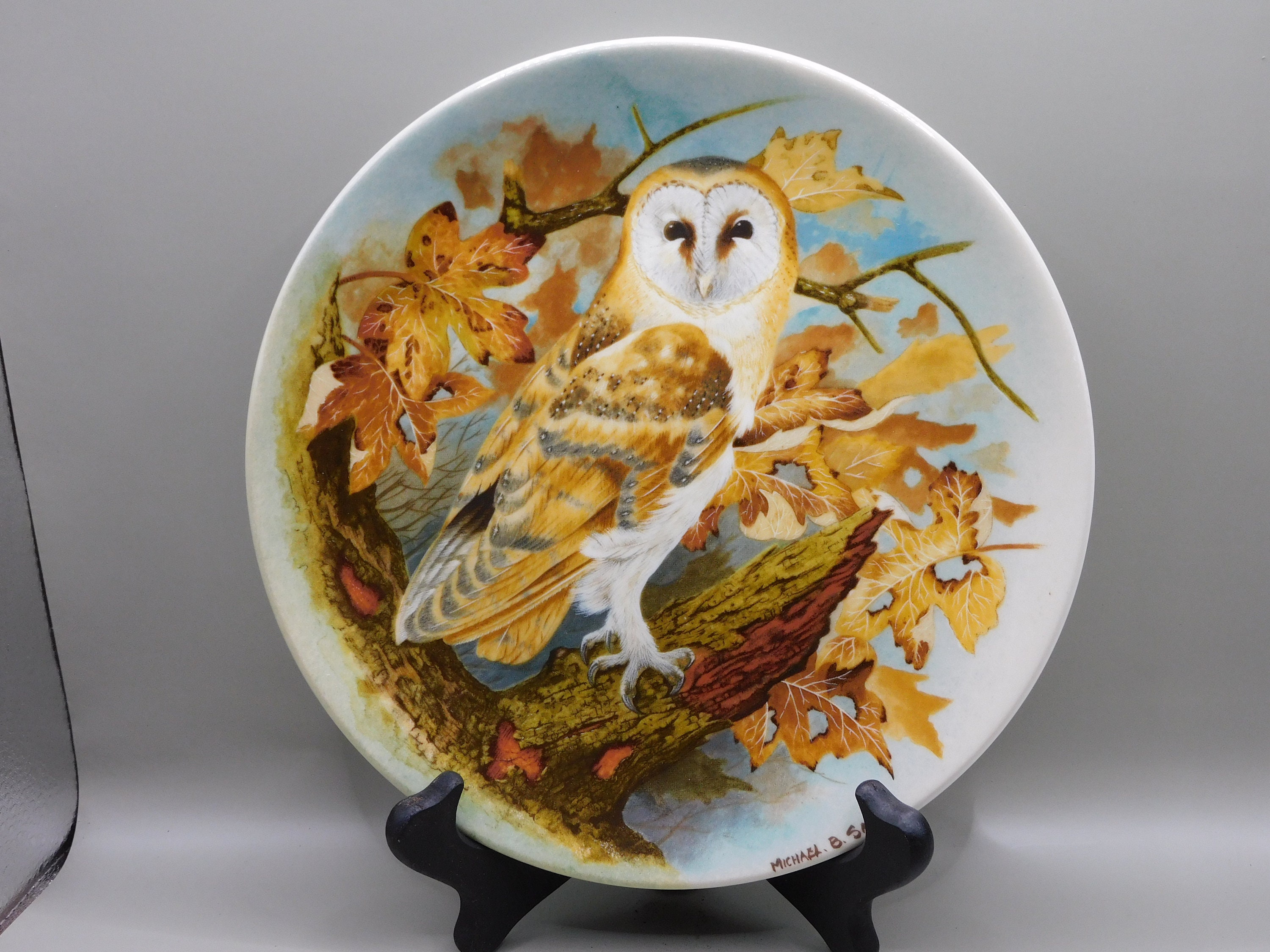 Barn 親 owl Barn Birds 【廃盤品】 Owl, Owl Wise the From Plates, Collectors China Bone Coalport 置物